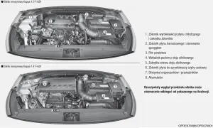 Pod maską Hyundai i30 1.4 benzyna: zbiornik płynu chłodzącego (1), hamulcowego (2), filtr powietrza (3), wskaźnik oleju (4), wlew oleju (5), zbiornik spryskiwaczy (6), skrzynka bezpieczników (7), akumulator (8).