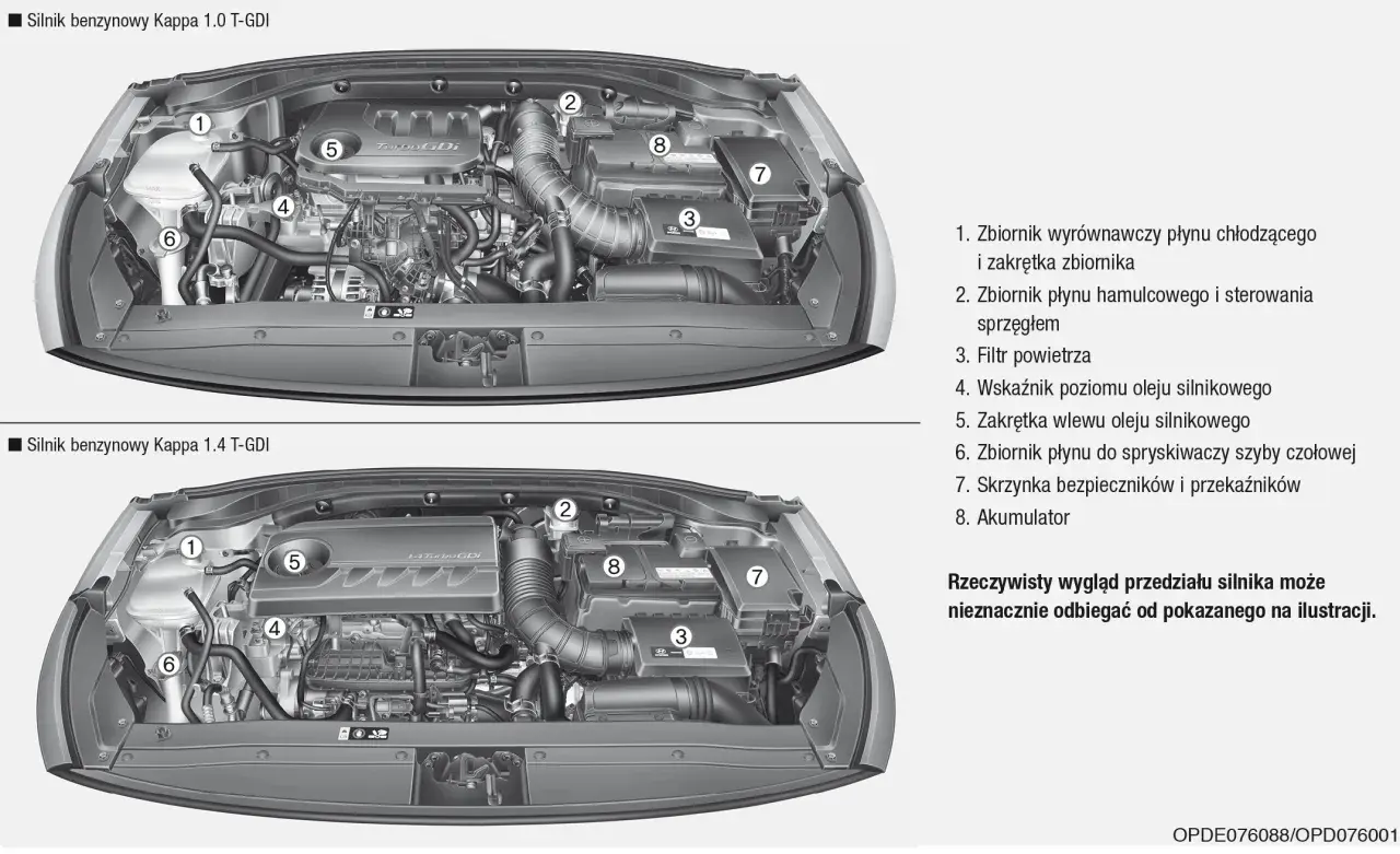 Pod maską Hyundai i30 1.4 benzyna: zbiornik płynu chłodzącego (1), hamulcowego (2), filtr powietrza (3), wskaźnik oleju (4), wlew oleju (5), zbiornik spryskiwaczy (6), skrzynka bezpieczników (7), akumulator (8).