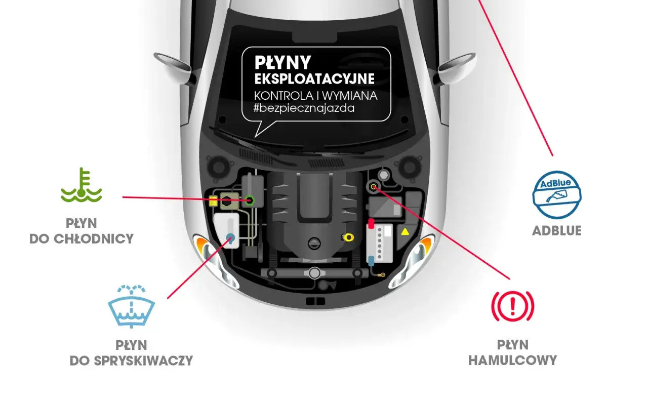 Schemat komory silnika Dacia Duster 1.6 benzyna: płyn chłodniczy, spryskiwaczy, hamulcowy i AdBlue.